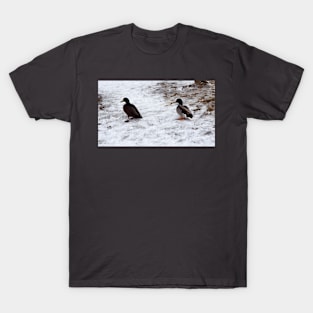 Ducks On The Winter Snow T-Shirt